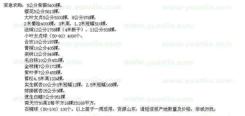 求購(gòu)紫薇、櫻花、大葉女貞、法桐、蜀檜等工程苗