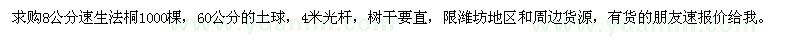 求購8公分速生法桐