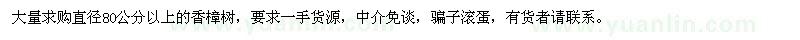 求購直徑80公分以上香樟樹