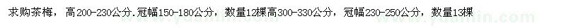 求購高200-230公分茶梅