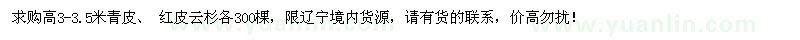 求購高3-3.5米紅皮、青皮云杉
