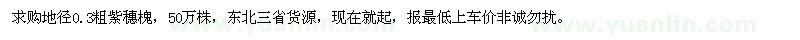 求購(gòu)地徑0.3粗紫穗槐
