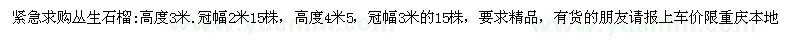 求購冠幅3米叢生石榴