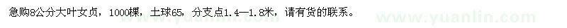 求購8公分大葉女貞