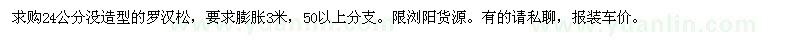 求購24公分沒造型羅漢松 