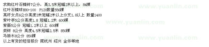 求購(gòu)紅葉石楠樹(shù)、紅葉石楠球、高桿女貞