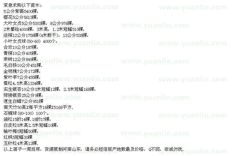 求購(gòu)紫薇、櫻花、大葉女貞