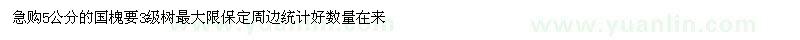 求購5公分國槐