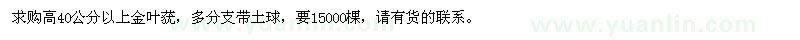 求購高40公分以上金葉蕕