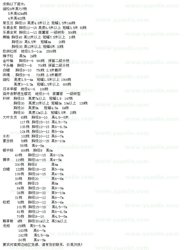 求購油松、紫玉蘭、樂昌含笑、榔榆等苗木