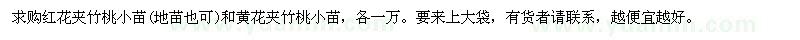 求購紅花、黃花夾竹桃小苗