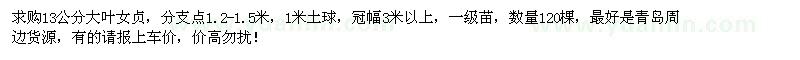 求購(gòu)13公分大葉女貞