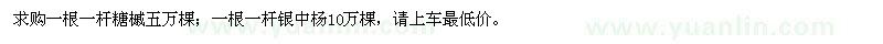 求購糖槭、銀中楊