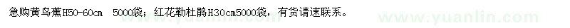 求購黃鳥蕉、紅花勒杜鵑