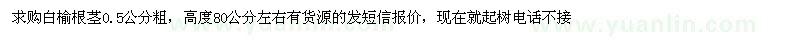求購求購白榆根莖0.5公分粗