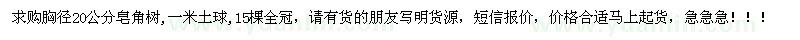 求購(gòu)胸徑20公分皂角樹(shù)