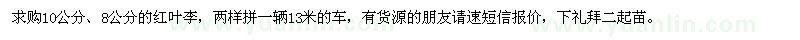 求購10公分、8公分紅葉李