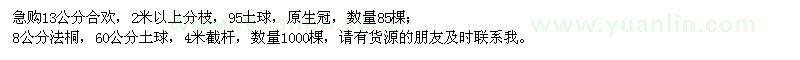 求購13公分合歡、8公分法桐