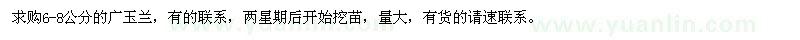 求購6-8公分廣玉蘭