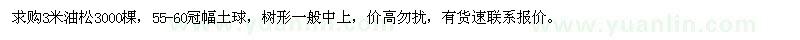 求購3米油松