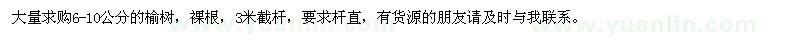 求購榆樹