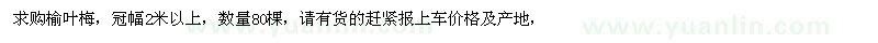 求購冠幅2米以上榆葉梅