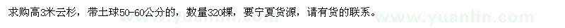 求購高3米云杉