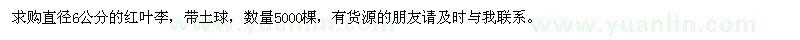 求購(gòu)直徑6公分紅葉李