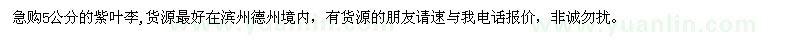 求購(gòu)5公分紫葉李