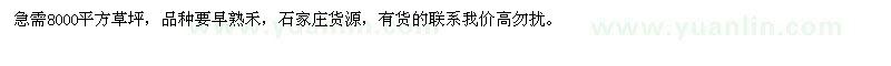 求購早熟禾草坪