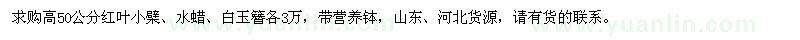 求購高50公分紅葉小檗、水蠟、白玉簪