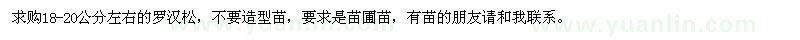 求購(gòu)18-20公分左右羅漢松苗圃苗