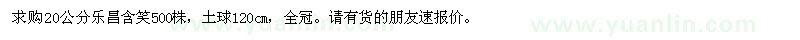 求購(gòu)20公分樂(lè)昌含笑