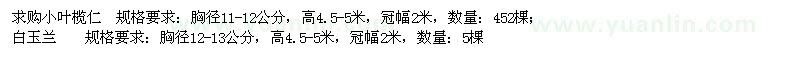 求購(gòu)小葉欖仁、白玉蘭