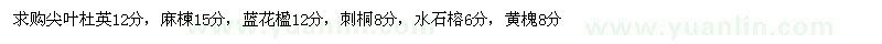 求購尖葉杜英、麻楝、藍(lán)花楹