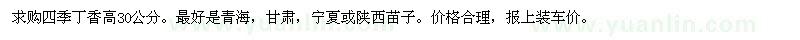 求購(gòu)高30公分四季丁香