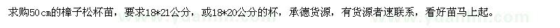 求購50公分樟子松杯苗