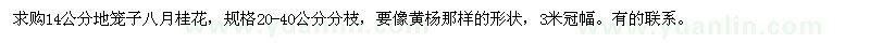 求購14公分地籠子八月桂花