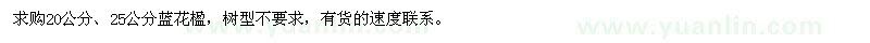 求購20公分、25公分藍(lán)花楹