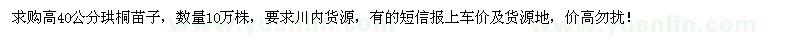 求購高40公分珙桐苗子