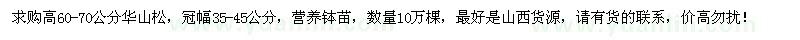 求購高60-70公分華山松