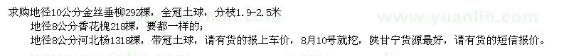 求購金絲垂柳、香花槐、河北楊