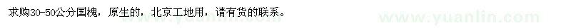 求購30-50公分國槐
