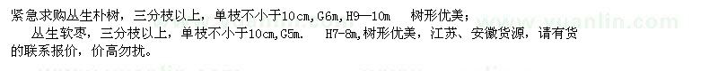 求購叢生樸樹、叢生軟棗