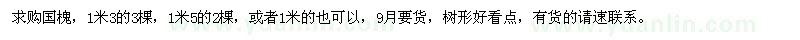 求購1米3、1米5國槐