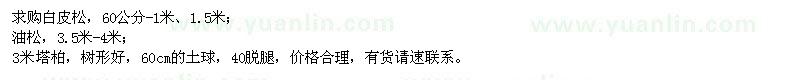 求購(gòu)白皮松、油松、塔柏