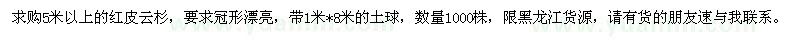 求購5米以上紅皮云杉
