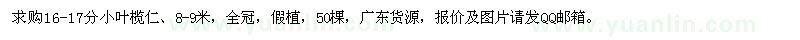求購16-17公分小葉欖仁