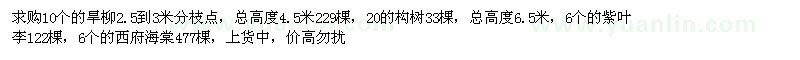 求購(gòu)旱柳