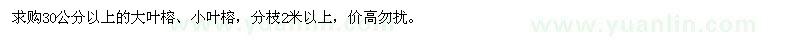 求購30公分以上大葉榕、小葉榕